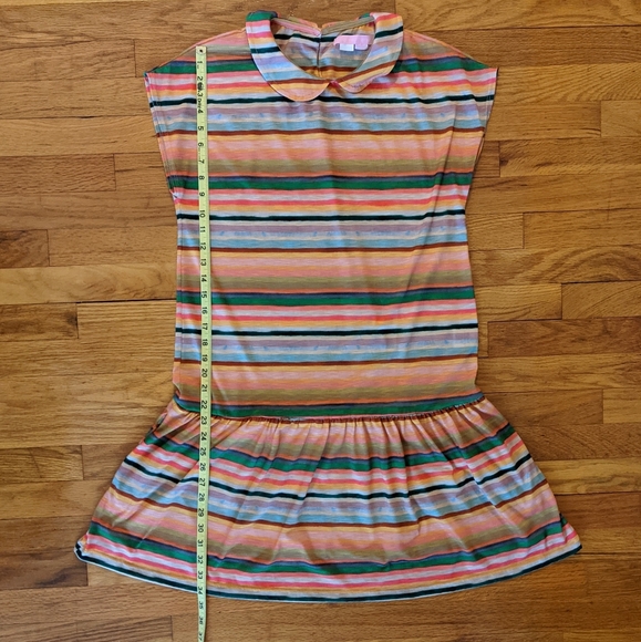 Anthropologie Drop Waist Dress - Mia Chris… - Picture 7 of 7